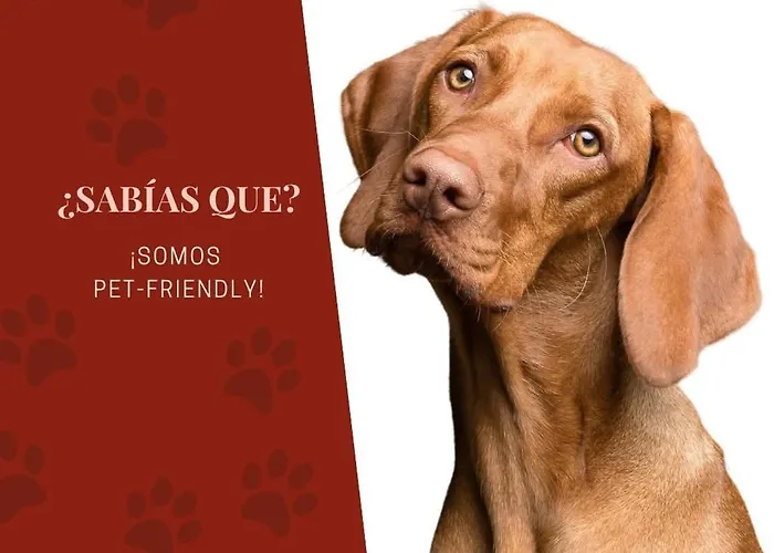 Caldas 2* Caldas de Reis